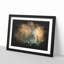 Hare in a Meadow - Picture Frame Graphic Art Print-56863316-56863317