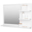 Adji Flat Vanity Mirror with Shelves-1513923657-1557914058
