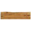 Vidaxl Table Top Solid Wood Mango-102731051