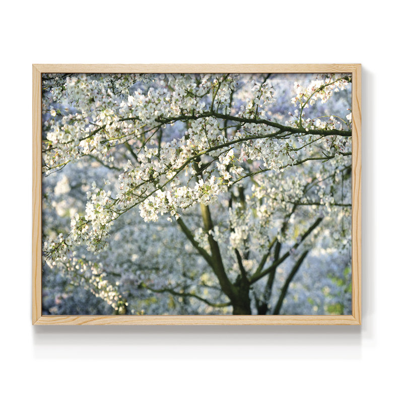 In All Your Glory - Reproduction encadrée - Restickable, Naturel, H 16 po x l 20 po