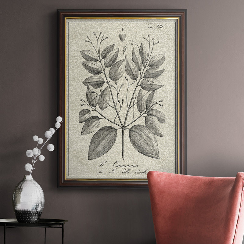 Antique Black & White Botanical VII - cadre photo, impression sur toile, H 36 po x l 24 po x P 2,5 po