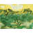 Jaune / vert