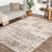 Shockley Faded Floral Performance Beige Rug-1301157994