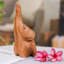 Figurine Dakota Fields