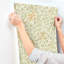 Papier peint Iris Wild Gardens-369251080