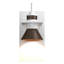 Erlenmeyer 1 - Bulb Outdoor Barn Light-43129457-94886571