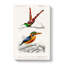 Kingfisher & Hummingbird by Charles D Orbigny - Wrapped Canvas-55363195