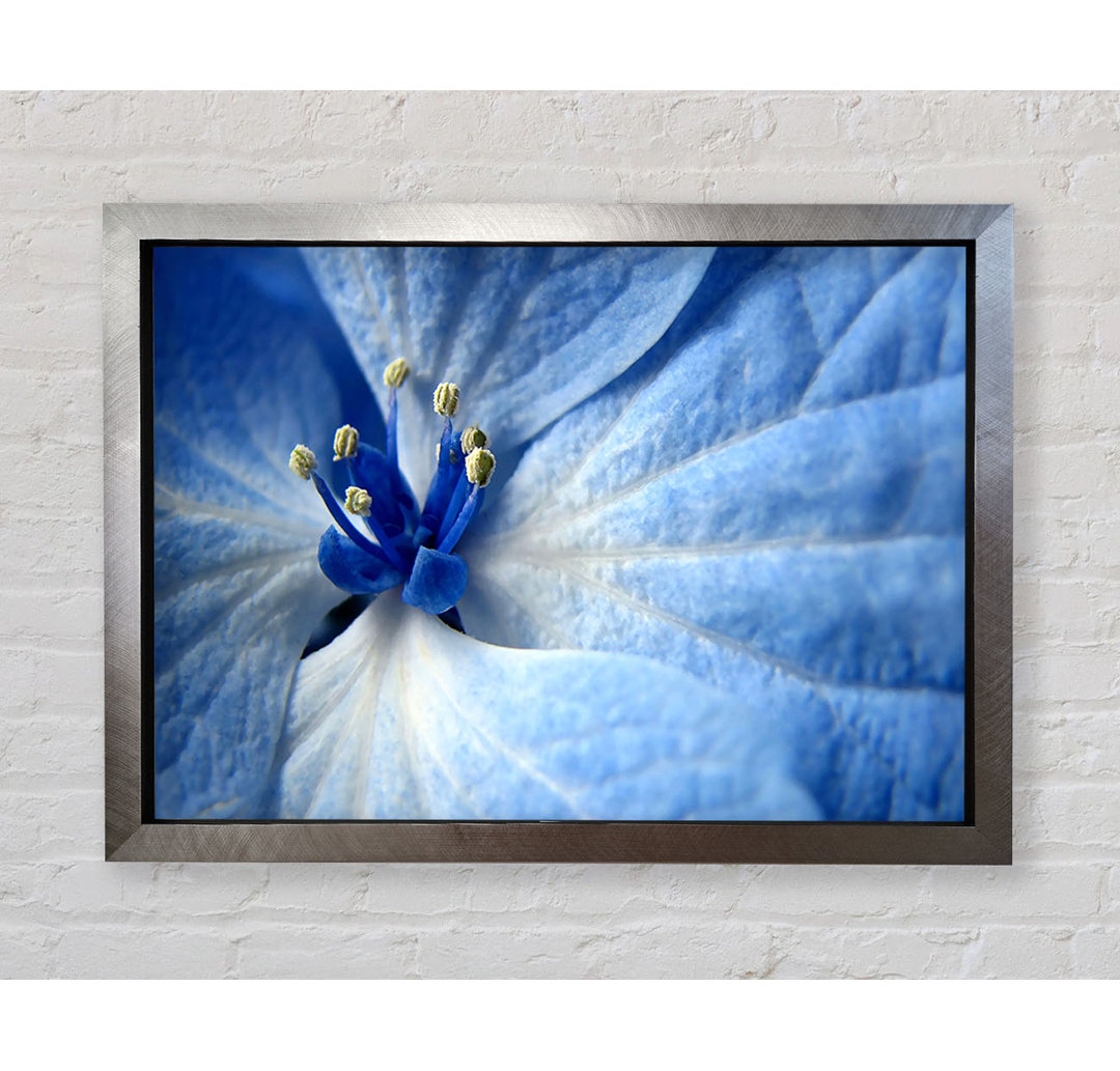 Soft Blue Flower - Druck