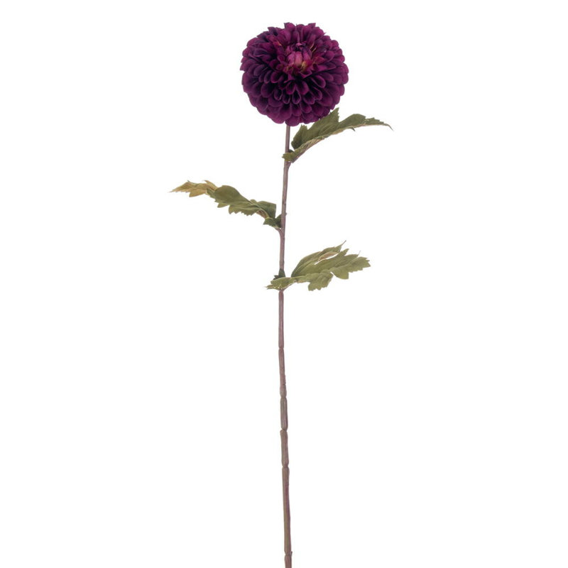 Tige de 29 po Dahlia bourgogne 29 / sac. Comprend 1 fleur entièrement fleurie et un riche feuillage vert., Mauve