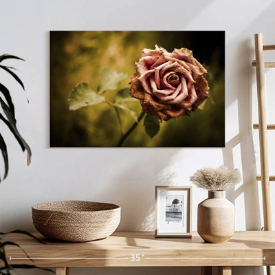 Harnek rose délavé
