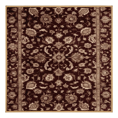 Machine Washable Turkish Brown Area Rug