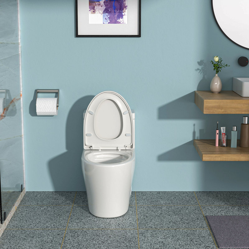 Ceramic One Piece Toilet,Dual Flush With Soft Clsoing Seat