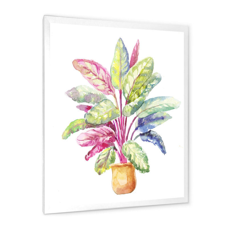 Reproduction d'art sur toile, plante traditionnelle en pot Calathea Makoyana, H 36 po x l 24 po x P 1 po, Cadre photo blanc
