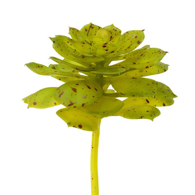Ensemble de 3 branches artificielles Echeveria