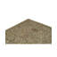 Wool Oriental Indoor Rug