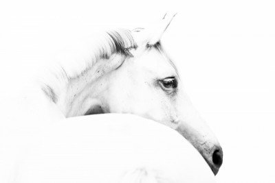 Wrapped Canvas Print, 81.28cm H x 121.92cm W
