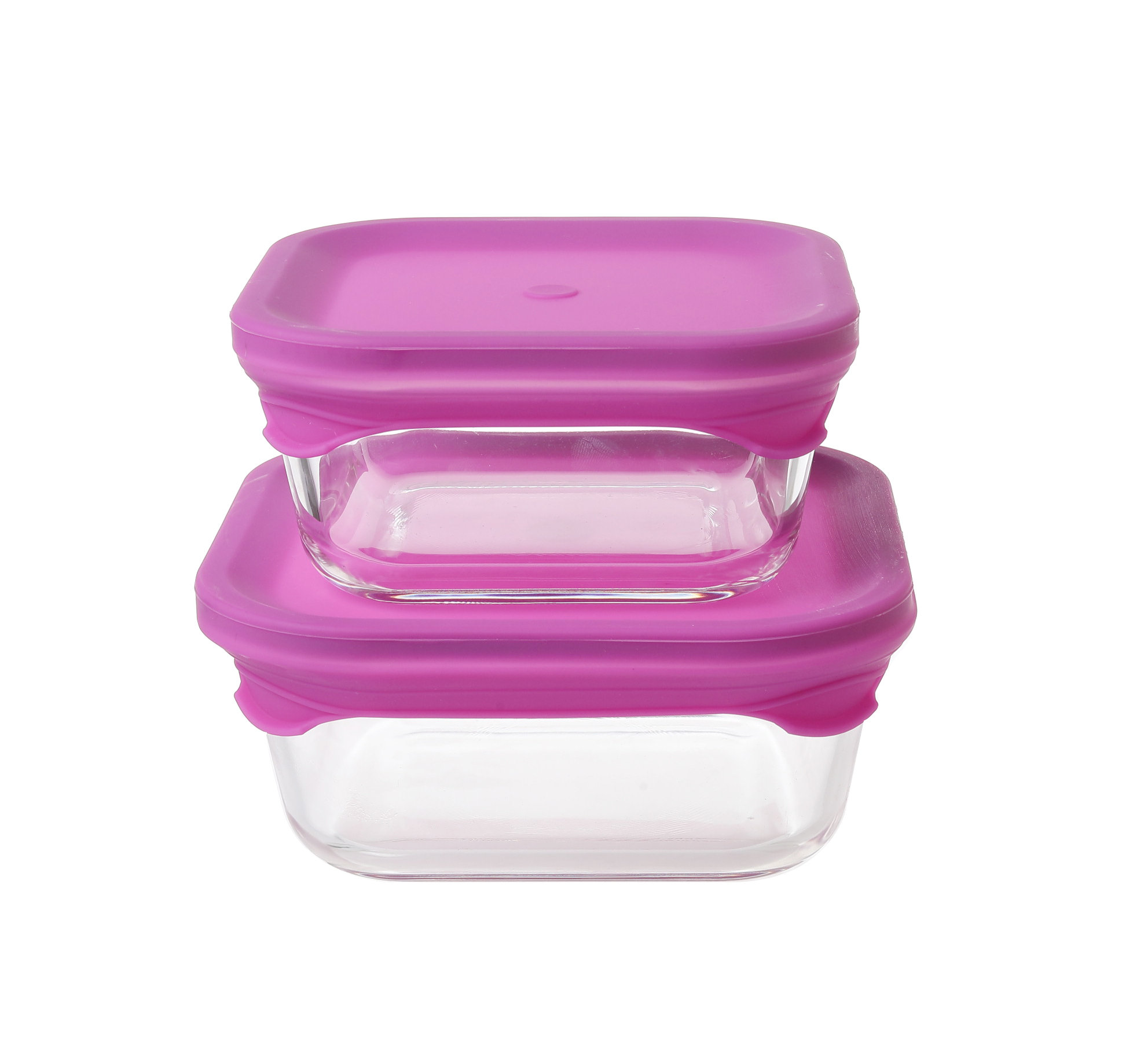 Prep & Savour Kechi Food Storage Set of 2 Containers and 2 Lids Wayfair