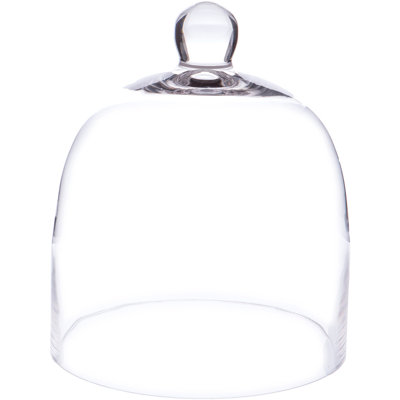 Bettzy Display Dome Cloche