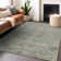 Machine Washable Indoor/Outdoor Chantille ACN1111 Sage