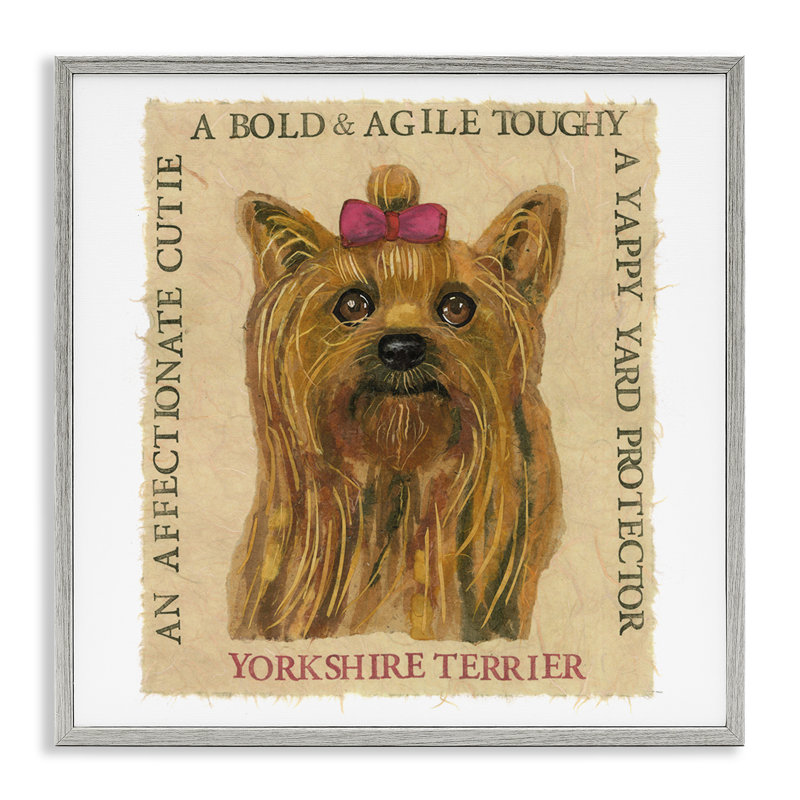 «Yorkshire Terrier» amusant par estampe numérique par Nancy Overton, Estampe numérique Farmhouse, H 17 po x l 17 po