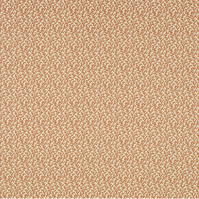 Schumacher x Veere Grenney Folly Fabric