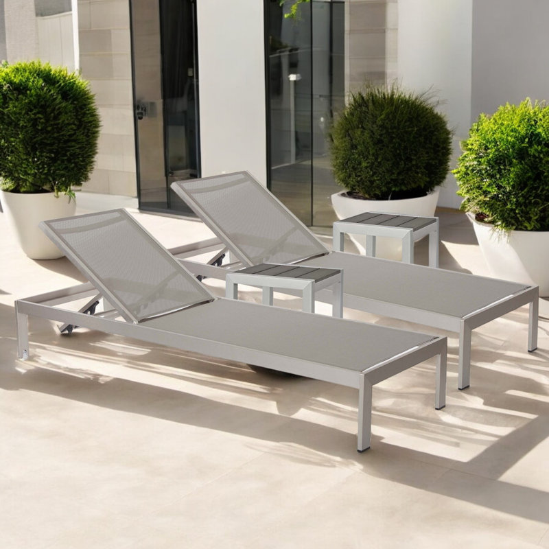 Ensemble de chaise longue inclinable 76 po Aynura, Gris, Gris