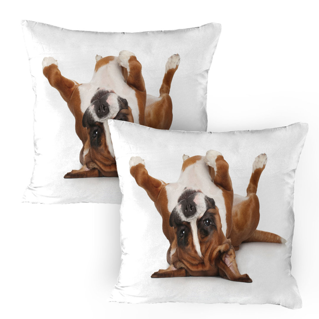 Kissenbezug Packung mit 2, Lustige Playful Puppy Bild, Pale Caramel Dunkelbraun