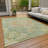 Machine Washable Indoor/Outdoor Claudian ACN1236 Aloe Rug-103718933