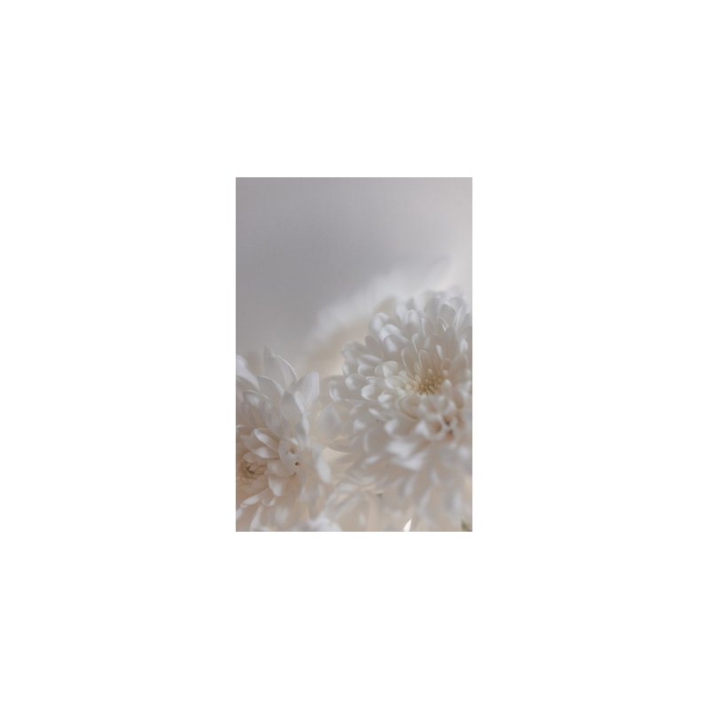 Wrapped Canvas Print, 76.2 cm H x 50.8 cm W