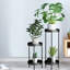 Baher Plant Stand - Set of 2