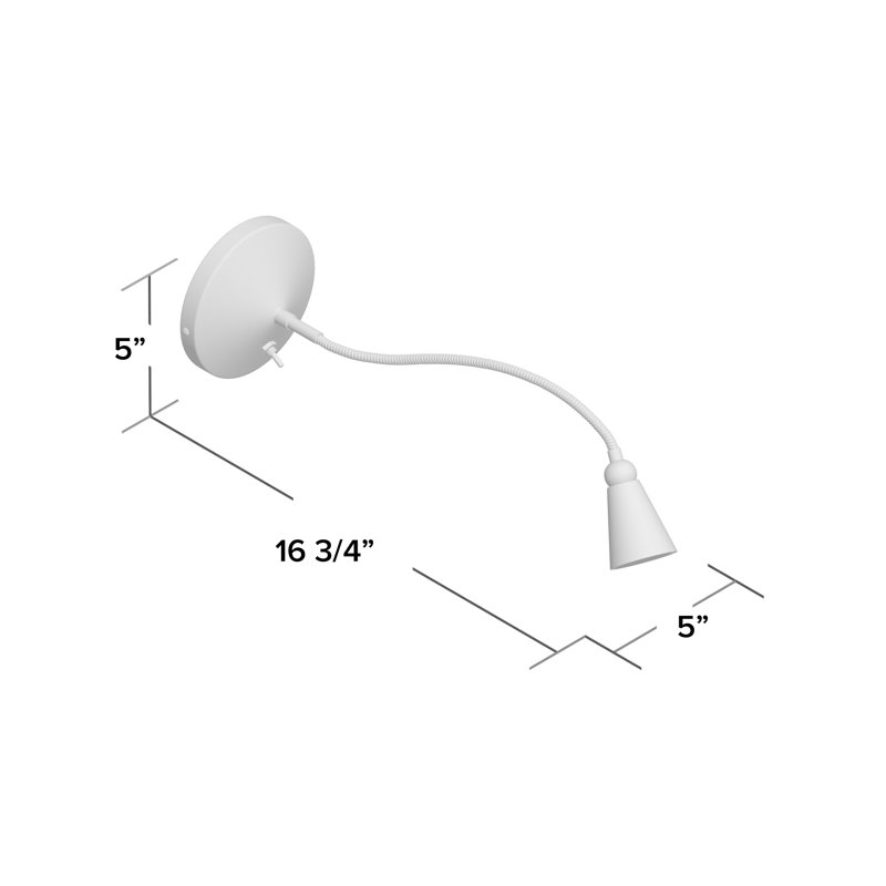Projecteur 1 lumière Brunilda, Acier brossé