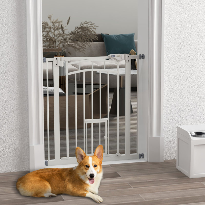 Barrière murale pour animaux Enoc, Blanc, H 29,9 po x l 31,5 po x P 1,6 po
