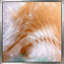 Mark 8:35 For My Sake (Square) par Mark Lawrence - impression-2042233322-2042233321