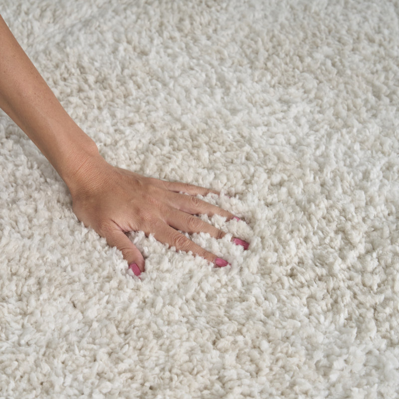 Tapis d'intérieur moderne ivoire Ebold Ebern Designs, Rectangle 5 pi 3 po x 7 pi
