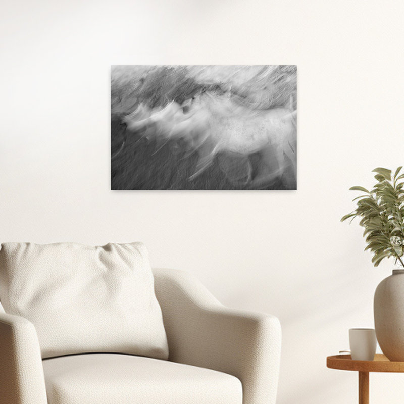 Cheval blanc dynamique et éthéré, impression d'art mural contemporain représentant un cheval et la nature, H 16 po x l 24 po
