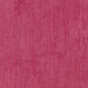 Fuchsia Savona