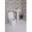 Prestige Vitreous China 22" Pedestal Bathroom Sink with Overflow