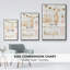 Collection Elegant Ornaments B-1267378511-1267378510