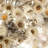 Preserved Everlasting Flower Arrangement