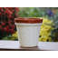 Pot de jardin en céramique émaillée - CHRYSANTHÈME BLANC (19 cm L x 20 cm H) - Petit pot de fleurs - Intérieur/Extérieur-22512059
