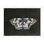 Art mural sur toile noire, Julia-101102720