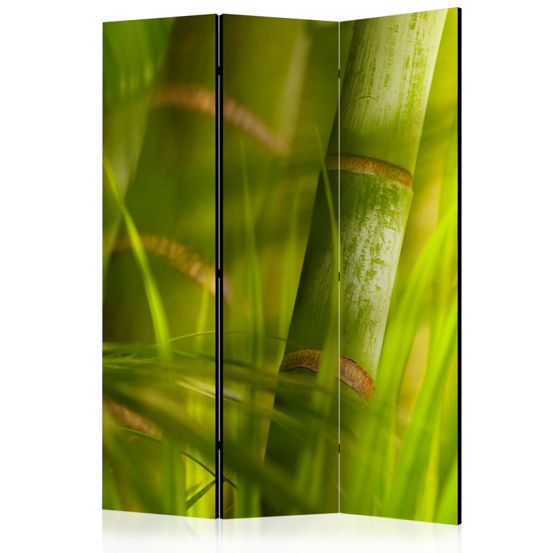 Halle-Jade 135cm W x 172cm H 3 - Panel Solid Wood Folding Room Divider