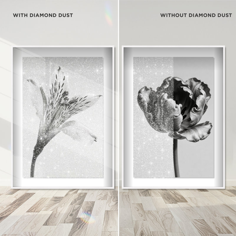 Peeking Flowers Set Set by Oliver Gal, White Shadowbox, 21.5"H x 31.5"W