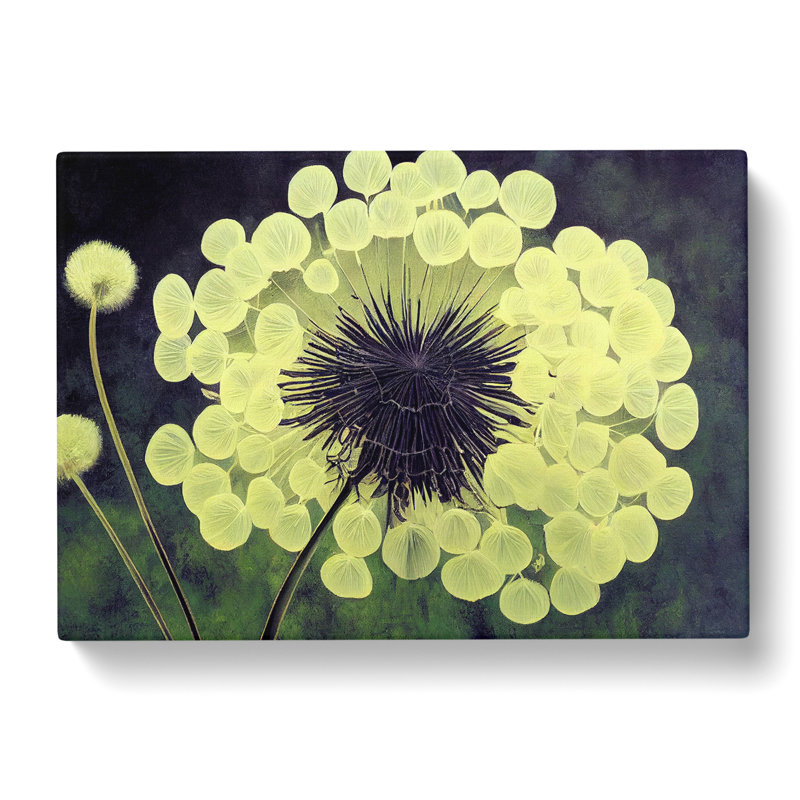 Captivating Dandelion Flowers - Wrapped Canvas Print, 35cm H x 50cm W x 3cm D