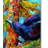 Kucera 'Crows 2' Print on Wrapped Canvas-22074058