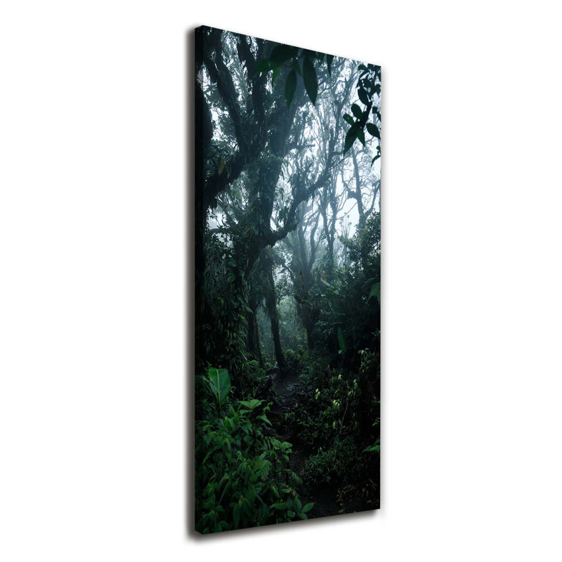 The Rainforest - Wrapped Canvas Print