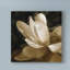 « bronze lily v », reproduction de peinture à l’acrylique sur toile tendue-33515324