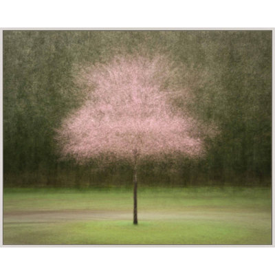 Pretty in Pink by Laura Zimmerman - Framed Wall Art