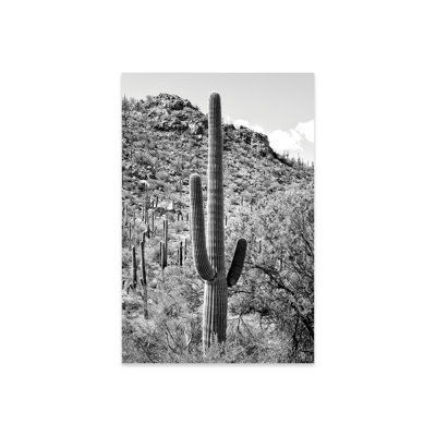 " Black Arizona Series - Cactus Hill " by Philippe Hugonnard