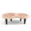 Solid Wood Coffee Table